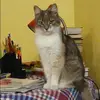 Отзыв от Диана Лыкова